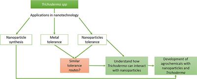 Trichoderma and Nanotechnology in Sustainable Agriculture: A Review